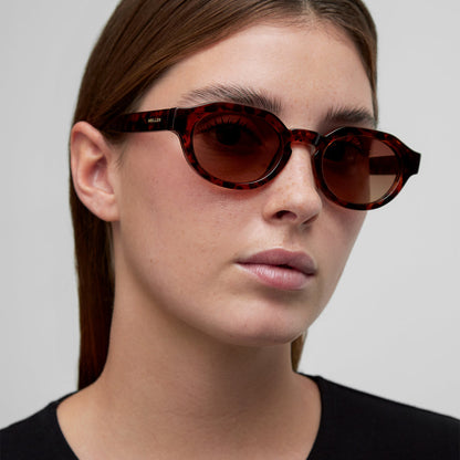Tuma Tigris Brown