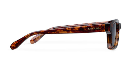 Biko Tigris Carbon