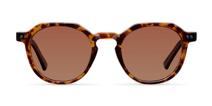 Chauen Tigris Brown