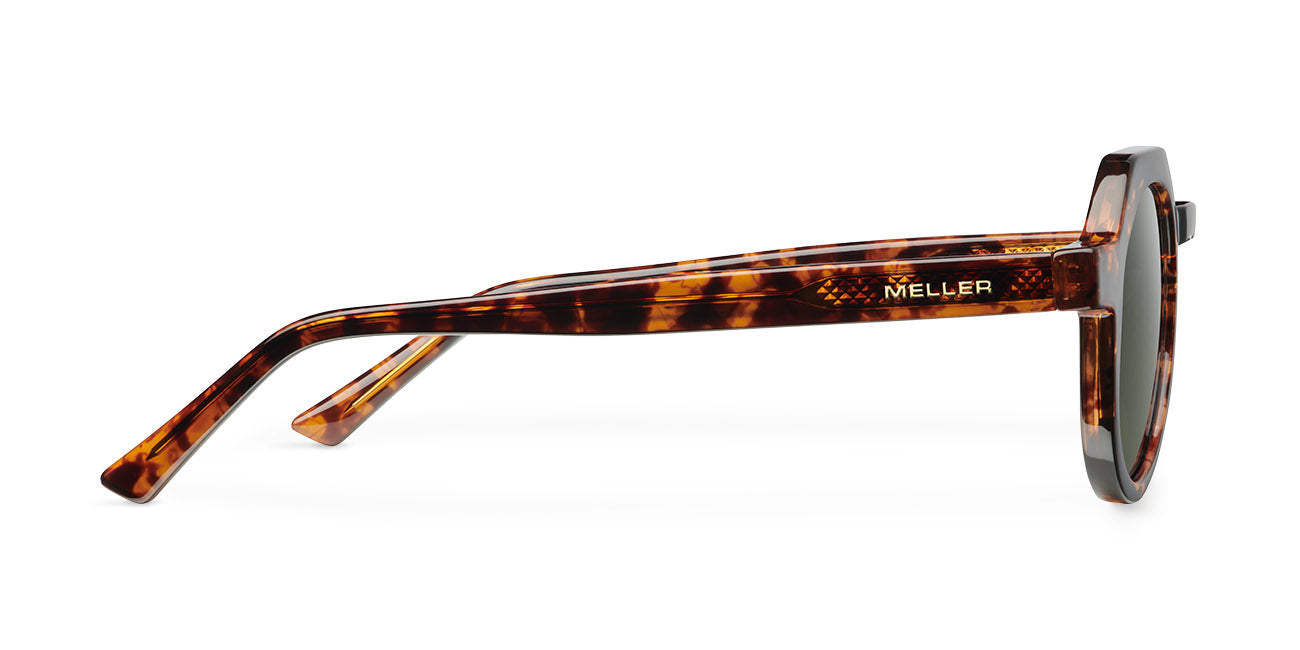 Hasan Tigris Carbon