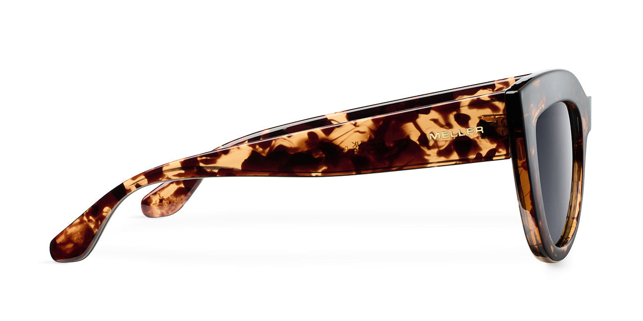 Karoo Tigris Carbon