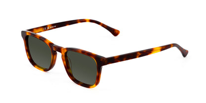 Panon Tortoise Olive