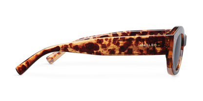 Siti Tigris Carbon