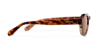 Tuma Tigris Brown